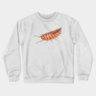 Porcellionides pruinosus "Orange" Isopod Crewneck Sweatshirt